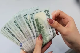 Tỷ giá giữa đồng VND và đồng USD đã quay đầu giảm. (Ảnh: Vietnam+)