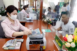 (Ảnh: Vietnam+)