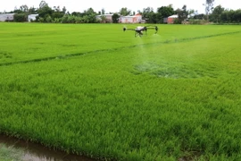 Sử dụng máy bay nông nghiệp phun thuốc chăm sóc lúa Thu Đông tại xã Tân Nghĩa, huyện Cao Lãnh (Đồng Tháp). (Ảnh: Nguyễn Văn Trí /TTXVN)