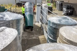 Vận chuyển những thùng 200lít đựng nước từ Feilding đến Wellington. (Nguồn: Stuff)