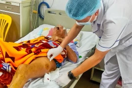 Bác sỹ kiểm tra tình trạng bệnh nhân sau phẫu thuật. (Nguồn: Bệnh viện Bệnh Nhiệt Đới Trung ương cung cấp)