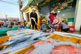 Các loại cá biển được bày bán tại cảng cá Đông Hải, thành phố Phan Rang-Tháp Chàm, tỉnh Ninh Thuận. (Ảnh: Nguyễn Thành/TTXVN)