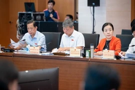 Các đại biểu tham dự Phiên giải trình. (Nguồn: quochoi.vn)