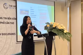 Bà Trần Thị Phương Mai, chuyên gia cao cấp về quản lý tài chính của WB phát biểu tại Hội thảo. (Ảnh: Ánh Tuyết/TTXVN)