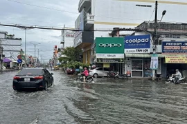 Mưa lớn kết hợp với triều cường dâng cao đã làm ảnh hưởng lớn đến đời sống, sản xuất của người dân ở Cà Mau. (Ảnh: Huỳnh Anh/TTXVN)