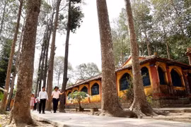 Đình Phú Lễ cổ kính tọa lạc giữa khuôn viên cây sao, dầu cổ thụ. (Ảnh: Hồng Đạt/TTXVN)