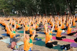 Màn đồng diễn Yoga tập thể. (Ảnh: Nguyễn Thanh/TTXVN)