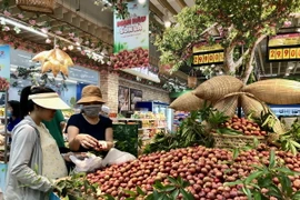 Sản phẩm mận hậu Sơn La được giới thiệu tại hội chợ. (Ảnh: Mỹ Phương/TTXVN)