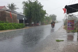 Cơn mưa "giải nhiệt" cái nóng ở tỉnh Trà Vinh. (Ảnh: Thanh Hòa/TTXVN)
