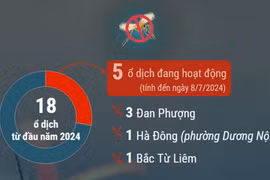 Số ca mắc sốt xuất huyết gia tăng tại Hà Nội