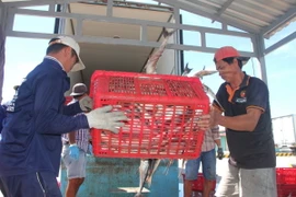 Nhiều quy định quản lý trong lĩnh vực thủy sản đã được sửa đổi, bổ sung. (Ảnh: Chanh Đa/TTXVN)