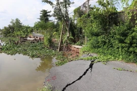 Hiện trạng khu vực sạt lở nguy hiểm ở bờ sông Ba Rày, tỉnh Tiền Giang. (Ảnh: Minh Trí/TTXVN)