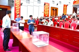 Phiên đấu giá 51 thửa đất tại xã Liên Mạc, huyện Mê Linh, Hà Nội ngày 28/6 vừa qua. (Ảnh: TTXVN phát)