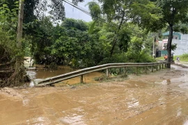 Mưa lớn, nước sông dâng cao gây ngập cục bộ, các phương tiện di chuyển khó khăn trên tuyến đường từ thành phố Lào Cai đi khu du lịch quốc gia Sa Pa. (Ảnh: Quốc Khánh/TTXVN)