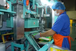 Công nhân đóng bao bì sản phẩm gạo từ hệ thống hút khí chân không. (Ảnh: Thanh Binh/TTXVN)