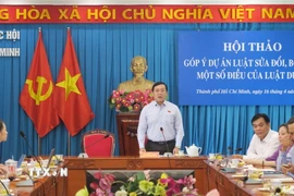 Quang cảnh Hội thảo. (Ảnh: Đinh Hằng/TTXVN)