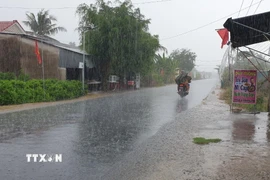 Cơn mưa "giải nhiệt" cái nóng ở tỉnh Trà Vinh. (Ảnh: Thanh Hòa/TTXVN)