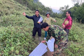Cán bộ Ban bồi thường giải phóng mặt bằng huyện Ba Bể tiến hành thống kê, kiểm đếm đất đai, tài sản của người dân trong diện g giải phóng mặt bằng tại xã Quảng Khê. (Nguồn: báo Bắc Kạn)