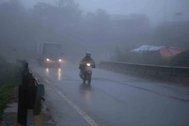 (Ảnh minh họa: Quý Trung/TTXVN)