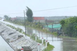 Vùng biển huyện Kim Sơn, sóng biển cao 2-3m, sau tăng lên 3-5m, biển động rất mạnh. (Ảnh: Hải Yến/TTXVN.)