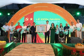 UBND huyện Lai Vung đón nhận quyết định Di sản Văn hóa Phi vật thể Quốc gia nghề thủ công truyền thống làm nem Lai Vung. (Ảnh: Nguyễn Văn Trí/TTXVN)