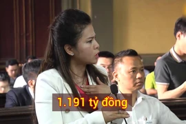 Bà Diệp Thảo tại phiên tòa (Ảnh: TTXVN phát) 