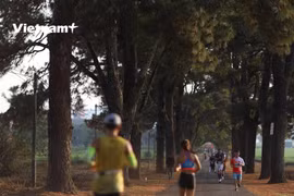 Một cung đường tuyệt đẹp tại Tiền Phong Marathon 2021. (Ảnh: Lâm Phan/Vietnam+) 