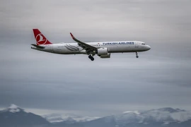 Máy bay của hãng hàng không Turkish Airlines. (Ảnh: AFP/TTXVN)