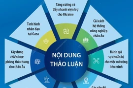 Hội nghị Thượng đỉnh EU thảo luận về nhiều thách thức