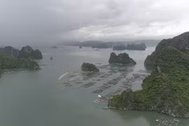 Toàn cảnh làng chài trên vịnh Bái Tử Long. (Ảnh: Lâm Phan/Vietnam+)