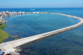 Giải vô địch quốc gia Marathon và cự ly dài báo Tiên Phong năm nay đã mang lại cho người tham gia những trải nghiệm độc đáo với những cung đường chạy biển tuyệt đẹp. (Ảnh: Lâm Phan/Vietnam+)