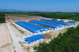 Toàn cảnh tổ hợp chăn nuôi an toàn sinh học 4F từ trên cao. (Ảnh: Lam Phan/Vietnam+)