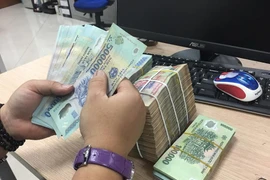 Ảnh minh họa. (Nguồn: Vietnam+)