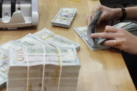 Ảnh minh họa. (Ảnh: CTV/Vietnam+)