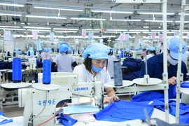 Không khí làm việc tại một doanh nghiệp may tại Đà Nẵng. (Ảnh: Vietnam+)