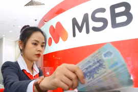 Ảnh minh họa. (Ảnh: CTV/Vietnam+)
