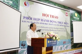 Thứ trưởng Bộ Tài nguyên và Môi trường Võ Tuấn Nhân phát biểu tại hội thảo. (Ảnh: Hùng Võ/Vietnam+)