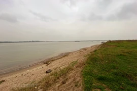 Nguồn nước lưu vực sông Hồng-Thái Bình phân bố nguồn nước không đều. (Ảnh: HV/Vietnam+)