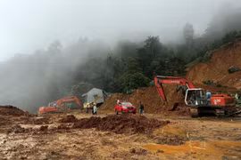 Ảnh chỉ có tính chất minh họa. (Nguồn: Hùng Võ/Vietnam+) 