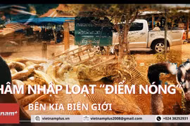 [Video] Thâm nhập loạt 'điểm nóng' buôn bán thú rừng bên kia biên giới