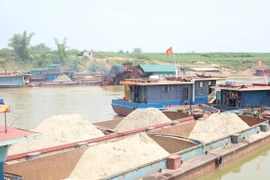 Ảnh minh họa. (Nguồn ảnh: Hùng Võ/Vietnam+)