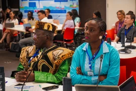 Các đại biểu tham dự hội nghị. (Ảnh: PV/Vietnam+)