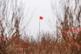 Ảnh minh họa. (Nguồn: Minh Sơn/Vietnam+)