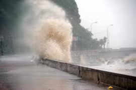 Ảnh minh họa. (Nguồn: Vietnam+)