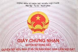 Ảnh minh họa. (Nguồn: Hùng Võ/Vietnam+)