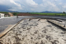 Quy hoạch Thủ đô Hà Nội đã đưa ra 6 nhiệm vụ trọng tâm, nổi bật là giải quyết triệt để vấn đề ô nhiễm các dòng sông. (Ảnh: Vietnam+)