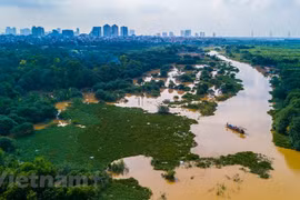 Ảnh minh họa. (Nguồn: PV/Vietnam+)