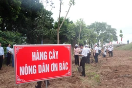 Hàng cây Nông dân ơn Bác được trồng tại Khu di tích lịch sử Lăng Kinh Dương Vương. (Ảnh: Hùng Võ/Vietnam+)