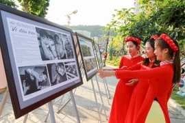 Ban tổ chức đã lựa chọn 245 tác phẩm tiêu biểu để trưng bày tại Hạ Long (Quảng Ninh). (Ảnh: TTXVN)