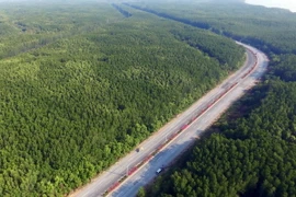 Những cánh rừng bạt ngạt xanh ngút tầm mắt dọc tuyến đường huyết mạch Rừng Sác-Cần Giờ. (Ảnh: Mạnh Linh/TTXVN)